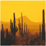 Photo of Tucson Area and Southern Arizona